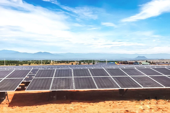T&T Group đồng loạt hoà lưới 3 nhà máy điện mặt trời