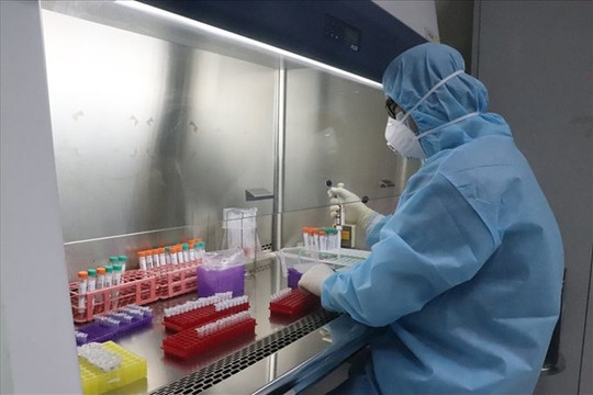 Việt Nam phát hiện chủng vi rút biến thể mới SARS-CoV-2 của Nam Phi