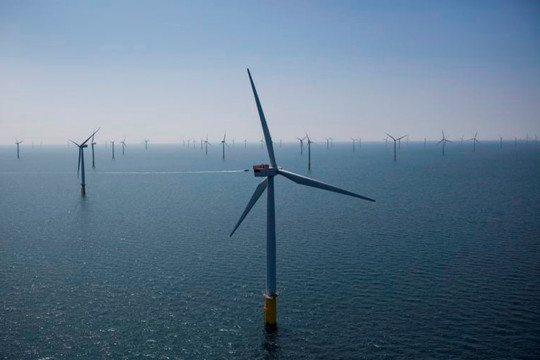 Hàn Quốc công bố kế hoạch 43 tỉ USD cho trang trại điện gió ngoài khơi lớn nhất thế giới