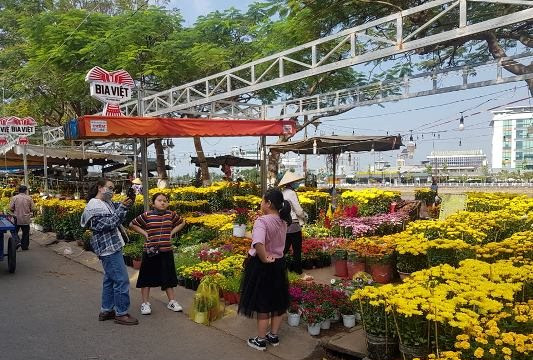 Chợ hoa Tết ở An Giang đầy người xem, vắng khách mua