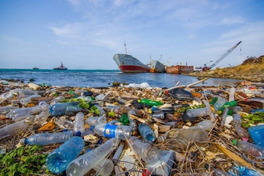 Thủ tướng phê duyệt đề án tuyên truyền về phòng, chống rác thải nhựa
