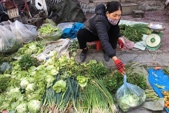 Hưng Yên: 200.000 đồng/kg ớt, rau xanh tăng giá chóng mặt ngày 30 Tết
