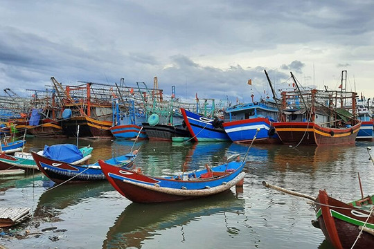 Sửa Nghị định 67 để hỗ trợ ngư dân bám biển, bảo vệ chủ quyền