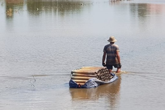 An Giang: Đầu năm theo chân người đi câu ếch, đặt trúm lươn