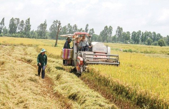 Thủ tướng đồng ý cho Cần Thơ chuyển đổi hơn 21 hecta đất lúa làm cụm công nghiệp