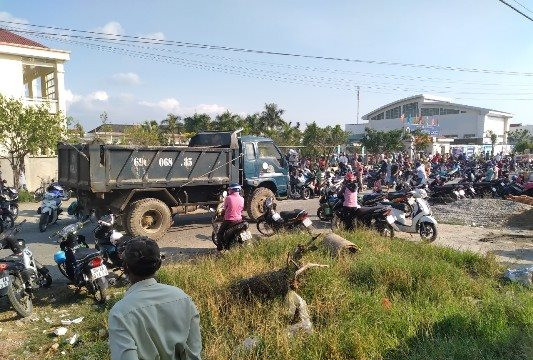 Cà Mau: Hàng loạt xe tải chở đất san lấp gây cản trở giao thông