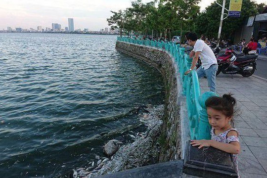 Nước hồ Tây ô nhiễm, Bộ TN-MT đề nghị Hà Nội cải thiện chất lượng nước hồ