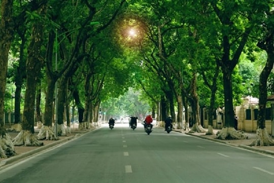 Thủ tướng chính thức phê duyệt đề án trồng 1 tỉ cây xanh 