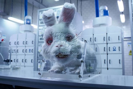 H’Hen Niê và Diễm My 9x tham gia phim Save Ralph, kêu gọi chấm dứt thử nghiệm mỹ phẩm trên động vật 
