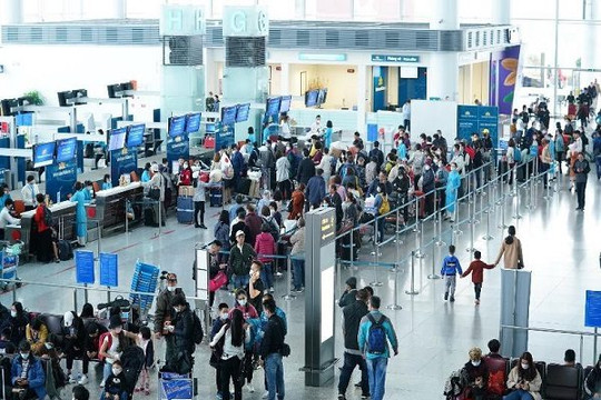 Siết chặt phòng chống vi rút Nipah tại sân bay ở Việt Nam