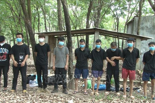 9 người Trung Quốc nhập cảnh trái phép từ Campuchia chạy trốn vào vườn điều