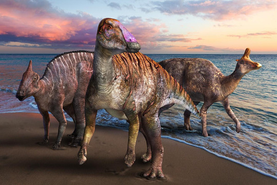 Tìm thấy hóa thạch tiết lộ về loài khủng long mỏ vịt mới