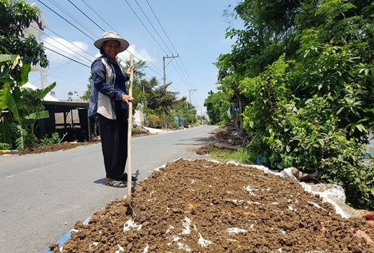 An Giang: Cụ bà 70 tuổi kiếm sống bằng việc gom nhặt phân bò