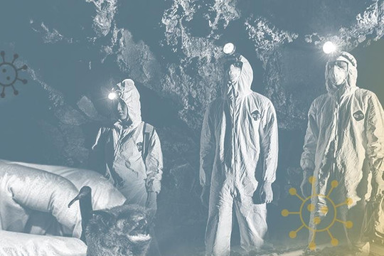 Cái chết của 3 công nhân và 293 coronavirus trong, xung quanh mỏ Trung Quốc từ 2012 đến 2015