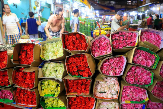 TP.HCM tạm thời mở lại chợ hoa Đầm Sen giúp tiểu thương