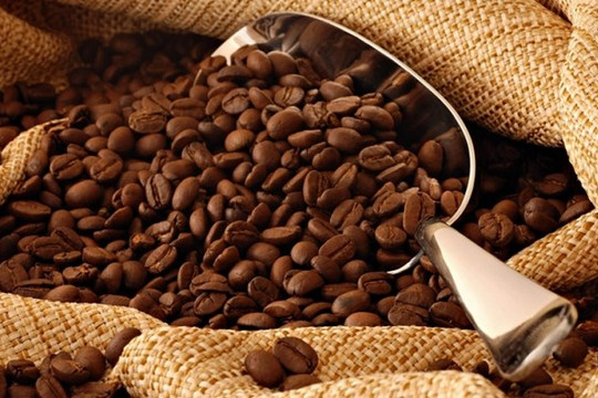 Phát hiện mới: Caffeine có tác dụng chống lại khối u ác tính ở người