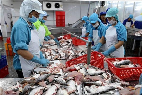 Doanh nghiệp cá tra Việt Nam lần lượt 'thoái lui' khỏi thị trường EU
