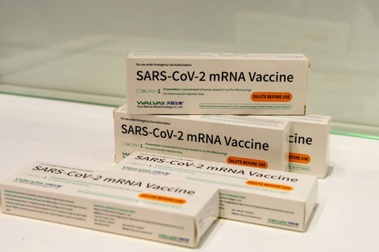Những người dị ứng với vắc xin mRNA có thể an toàn tiêm mũi thứ 2 