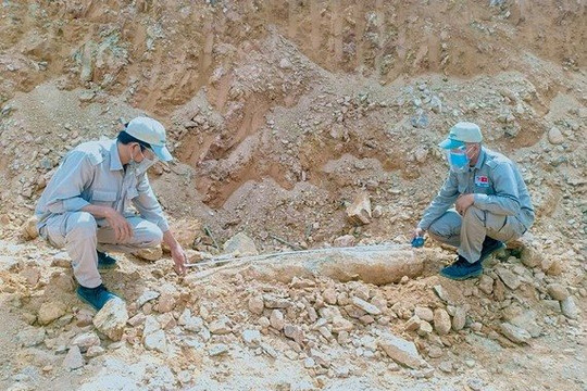 Phát hiện quả bom còn nguyên ngòi nổ nặng gần 230kg ở tỉnh Quảng Trị