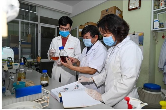Việt Nam nghiên cứu thuốc ức chế vi rút SARS-CoV-2 từ thảo dược