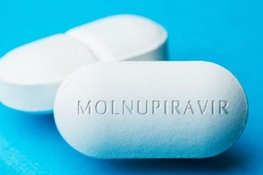 Đại sứ Việt Nam tại Ấn Độ đang đàm phán lô thuốc Molnupiravir điều trị COVID-19