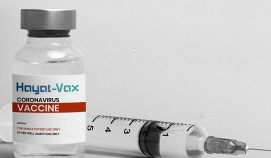 Việt Nam phê duyệt vắc xin COVID-19 thứ 7: Hayat - Vax 