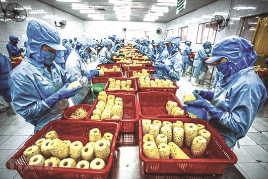 Thúc đẩy mở cửa thị trường xuất khẩu nông sản chính ngạch sang Trung Quốc