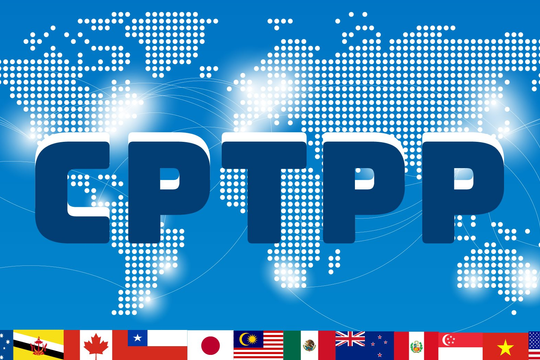 Đài Loan và Trung Quốc khẩu chiến dữ dội về chuyện gia nhập CPTPP