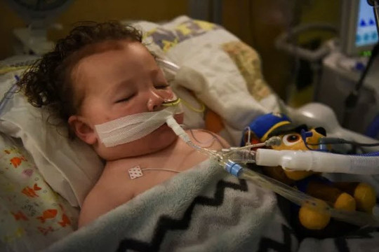 Cậu bé 2 tuổi mắc COVID-19 thở máy, chiến đấu giành sự sống 