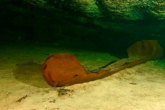 Phát hiện xuồng gỗ của người Maya cổ đại chìm dưới đáy sông