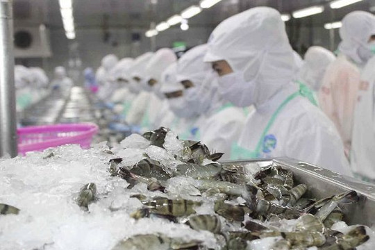 Thủy sản Việt Nam khó xuất khẩu vì lệnh kiểm soát của Trung Quốc 
