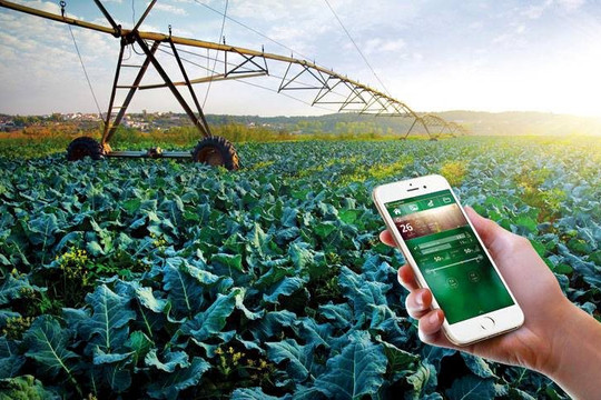Kỳ 4: Chuyên gia khuyên nông dân Việt Nam nên dùng điện thoại thông minh để canh tác