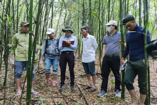 Lần đầu tiên Việt Nam có 2 khu rừng cộng đồng được cấp chứng chỉ FSC