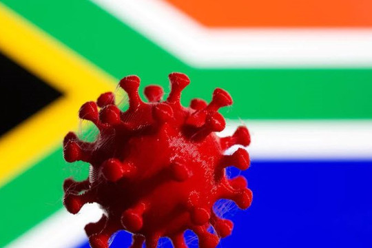 Biến thể B.1.1.529 có 32 đột biến lan ra nhiều tỉnh, Nam Phi nhờ cậy WHO
