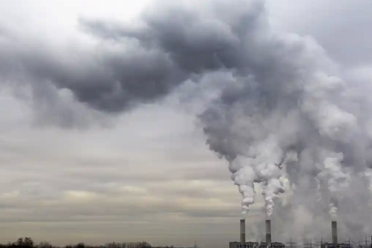 Ô nhiễm do nhiên liệu hóa thạch có thể làm giảm tỷ lệ sinh sản 