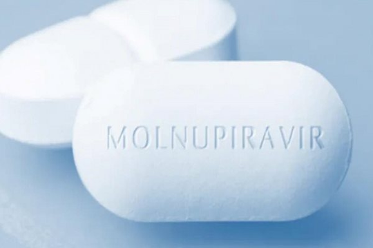 Bộ Y tế sẽ báo cáo Chính phủ cho cấp phép sử dụng khẩn cấp thuốc Molnupiravir