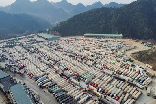 Tham tán Thương mại Việt Nam tại Trung Quốc nói về ùn tắc hàng hóa tại biên giới