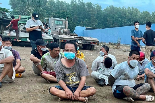 Đồng Nai: Đá gà ăn tiền, 7 người bị tạm giữ