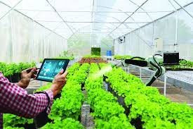 Cần hướng dẫn nông dân Việt Nam dùng thiết bị thông minh để quản lý canh tác