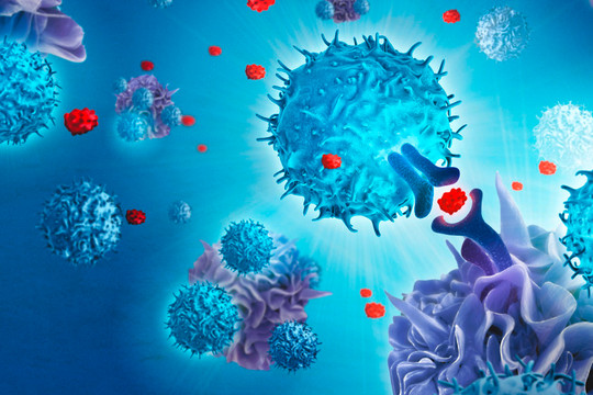 Tế bào T tạo ra khi bị cảm lạnh có thể chống lại COVID-19, gợi ý hướng phát triển vắc xin thế hệ mới