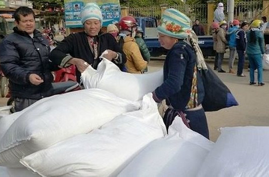 Đề nghị cấp gần 10.000 tấn gạo cho người dân thiếu đói dịp tết 