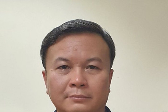 Khởi tố, bắt tạm giam Chủ tịch Công ty Công viên cây xanh Hà Nội