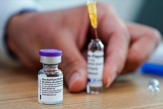 Mũi vắc xin Pfizer thứ 3 bảo vệ bao lâu và tác dụng ra sao với biến thể Omicron?