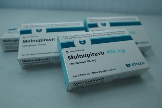 6 nghiên cứu cho thấy molnupiravir có hoạt tính chống lại Omicron