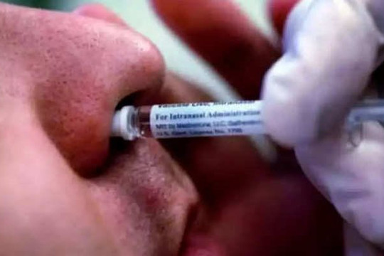 Liều vắc xin tăng cường xịt mũi, ghép phổi cứu nhiều người mắc COVID-19 nghiêm trọng