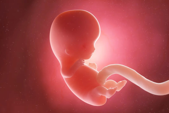 Trung Quốc tạo ra 'bảo mẫu AI' để chăm sóc trẻ sơ sinh trong tử cung nhân tạo