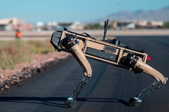 Mỹ có thể dùng chó robot tuần tra biên giới