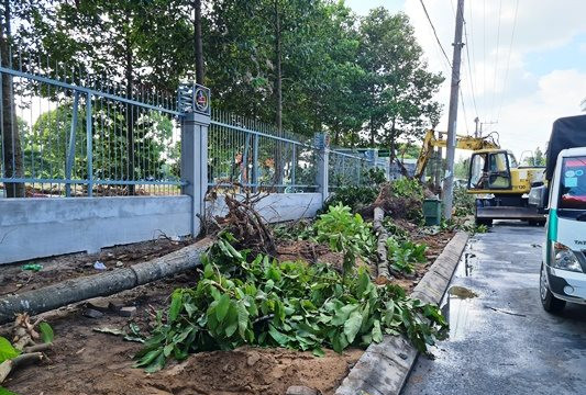 An Giang: Di dời nhiều cây xanh trên đường Ung Văn Khiêm ở TP.Long Xuyên