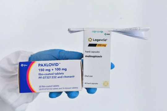 Việt Nam được sản xuất phiên bản giá rẻ Paxlovid - thuốc kháng vi rút hiệu quả hơn molnupiravir