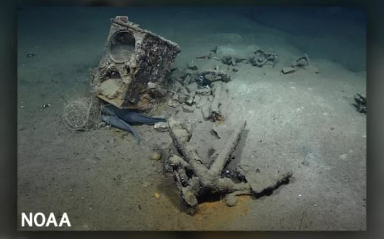 Tìm thấy xác tàu săn cá voi thế kỷ 19 ở vịnh Mexico